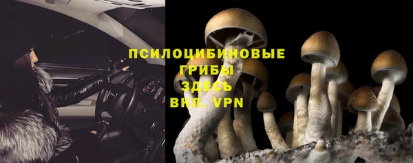 гидропоника Карпинск