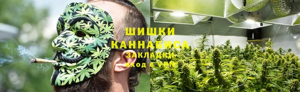 гидропоника Карпинск