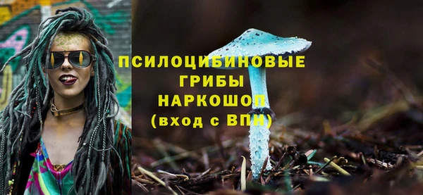 дурь Касимов